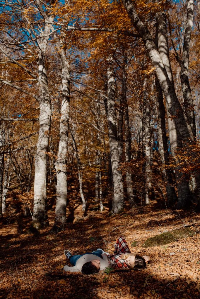 engagement foreste casentinesi